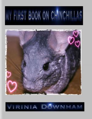Cover of the book My First Book on Chinchillas by Evelyn Jean