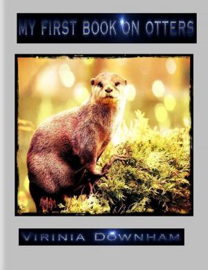Book cover of My First Book on Otters