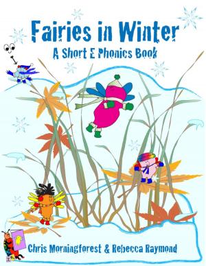 Book cover of Fairies in Winter - A Short E Phonics Book