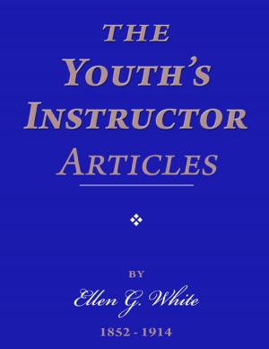 Book cover of The Youth's Instructor Articles
