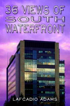 Book cover of 36 Views of South Waterfront