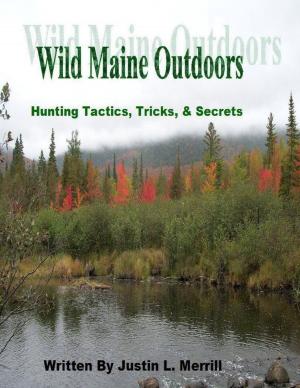 Cover of the book Wild Maine Outdoors - Hunting Tactics, Tricks, & Secrets by Mike Moratto
