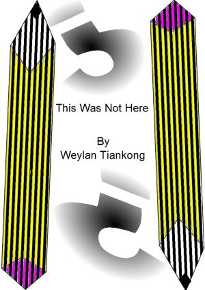 Cover of This Was Not Here
