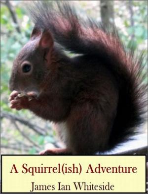 Book cover of A Squirrel (ish) Adventure