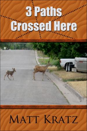 Book cover of 3 Paths Crossed Here