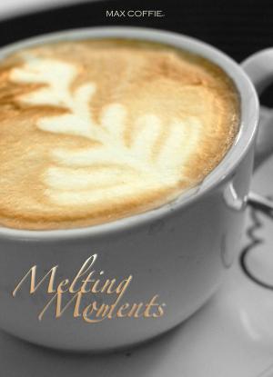 Cover of the book Melting Moments by H. S. Stone