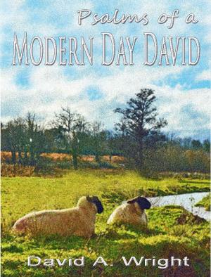 Cover of Psalms of a Modern Day David by David Wright, David Wright