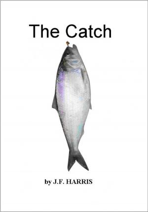 Cover of the book The Catch by Chris Leigh