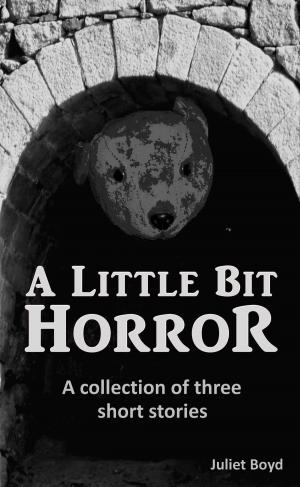 bigCover of the book A Little Bit Horror: A Collection Of Three Short Stories by 