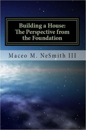 Cover of the book Building a House: The Perspective from the Foundation by Adrienna D Turner