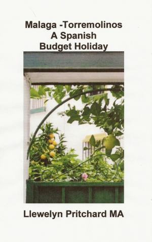 Cover of the book Malaga -Torremolinos A Spanish Budget Holiday by Llewelyn Pritchard
