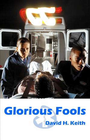 Book cover of Glorious Fools