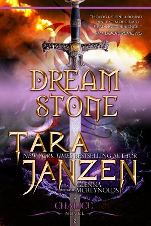 Cover of Dream Stone: Book Two in The Chalice Trilogy