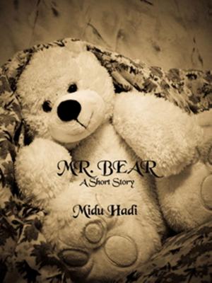 Cover of the book Mr. Bear by Brian Osburn