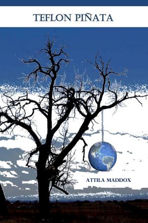 Cover of the book Teflon Pinata by O. T. Begho