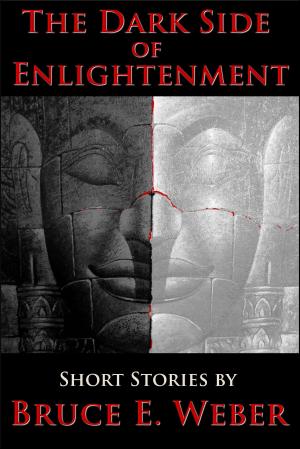 Book cover of The Dark Side of Enlightenment