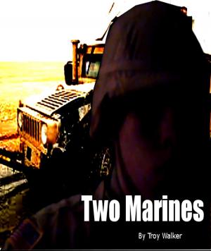 bigCover of the book Two Marines by 