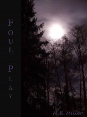 Cover of Foul Play (An Emily O'Brien novel #3)