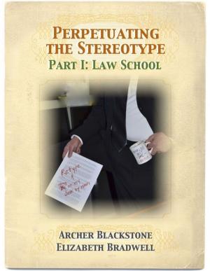 Book cover of Perpetuating the Stereotype: Part I: Law School