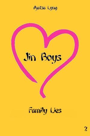 Book cover of Jin Boys Volume 2: Family Lies