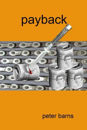 Cover of the book Payback by Alex Kava