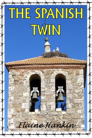 Cover of the book The Spanish Twin by David Mack