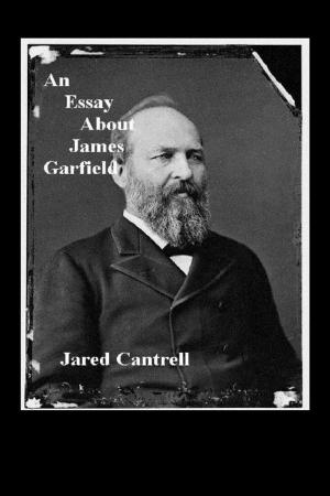 Cover of the book An Essay About James Garfield by Destiny Cammack