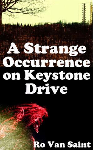 Book cover of A Strange Occurrence on Keystone Drive