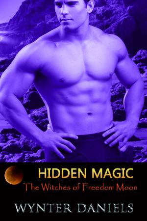 Cover of the book Hidden Magic by Roxie Rivera