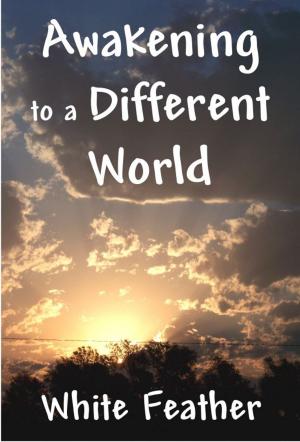 Cover of the book Awakening to a Different World by The Findhorn Community