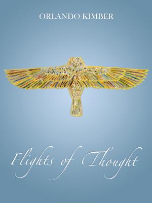 Cover of the book Flights of Thought by Drew Maywald