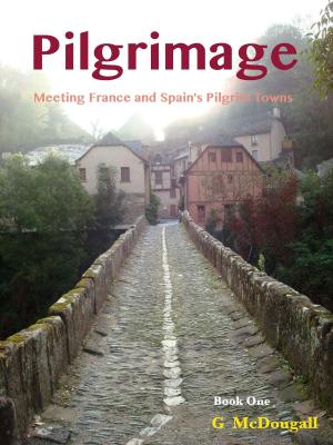 Book cover of Pilgrimage: Meeting France and Spain's Pilgrim Towns
