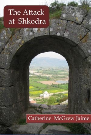 Cover of the book The Attack at Shkodra by Bethany Morlan