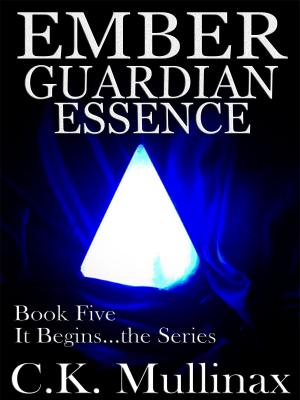 Book cover of Ember Guardian Essence (Book Five)