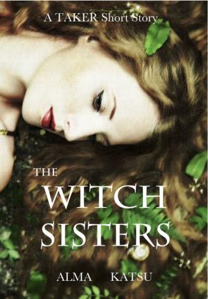 Book cover of The Witch Sisters