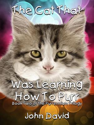 Cover of the book The Cat That Was Learning How to Purr (Book Two) by Jan Eby, Laurie Mobilio, Lynne Noel, Cindy Summers