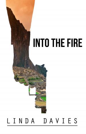 Cover of the book Into the Fire by Gabriel Darke