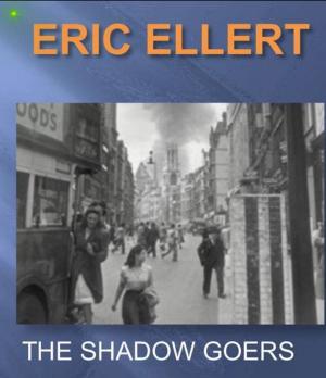 Cover of the book The Shadow Goers by Juliet Vane