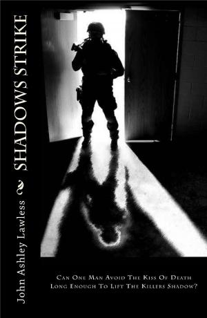Cover of the book Shadows Strike by Carly Compass