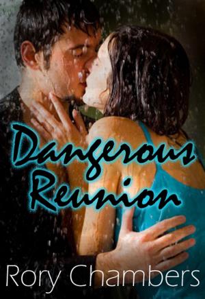 bigCover of the book Dangerous Reunion by 