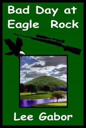 bigCover of the book Bad Day At Eagle Rock by 