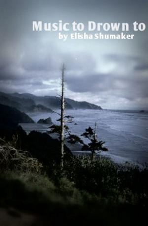 Book cover of Music To Drown To