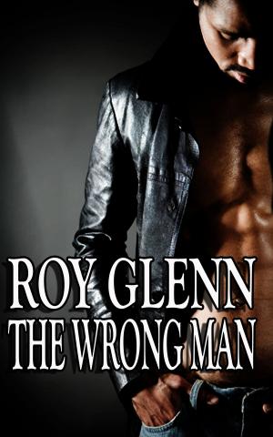Cover of the book The Wrong Man by Christian Barrett