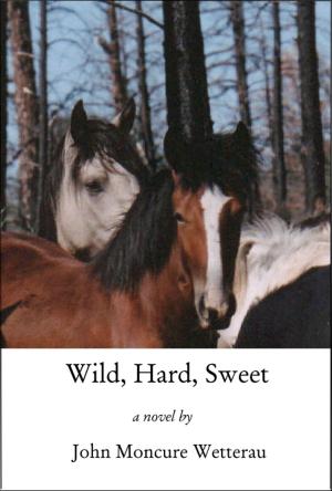 Book cover of Wild, Hard, Sweet