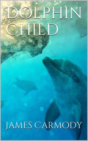Cover of the book Dolphin Child by Ann Christy
