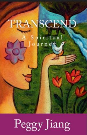Book cover of Transcend: A Spiritual Journey