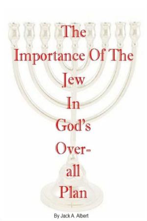 Cover of the book The Importance of the Jew in God's Overall Plan by Albert Jack