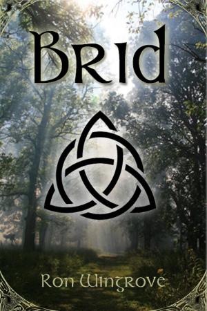 Book cover of Brid