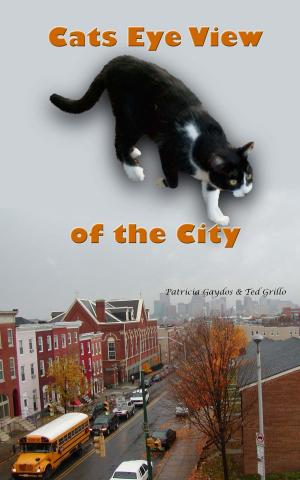 Cover of the book A Cat's Eye View of the City by Yianna Yiannacou