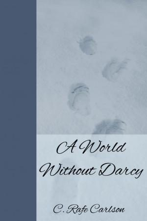 Book cover of A World Without Darcy